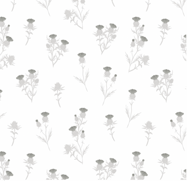 Cardoon - Imagen 6