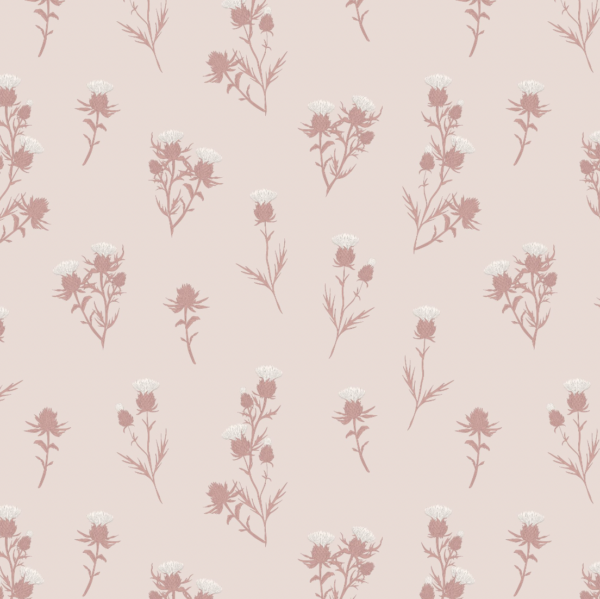 Cardoon - Imagen 8