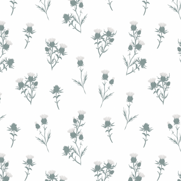 Cardoon - Imagen 2