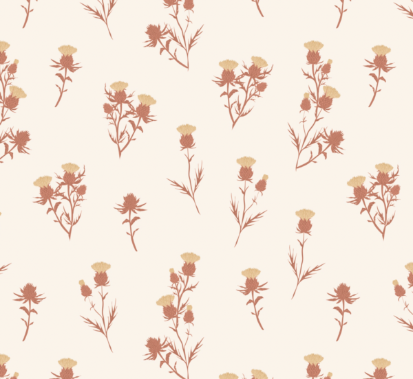Cardoon - Imagen 4