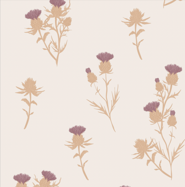 Cardoon - Imagen 9
